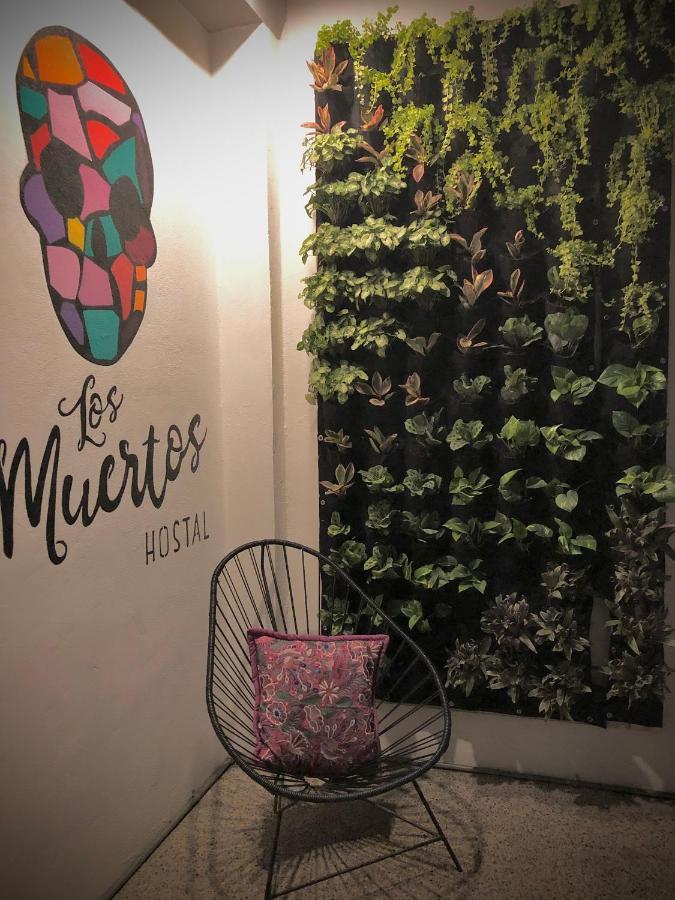 Los Muertos Hostal 푸에르토 발라타 외부 사진